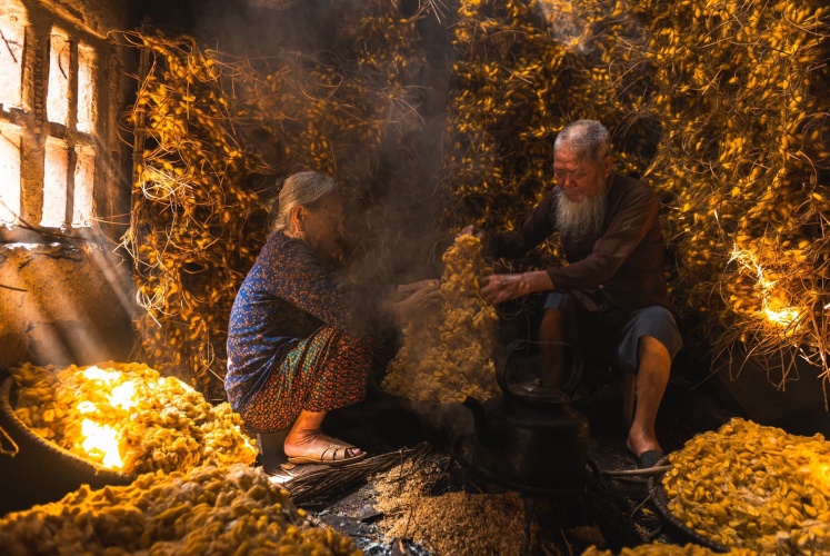 Làng nghề làm tơ tằm Hồng Lý, Thái Bình (cũ)