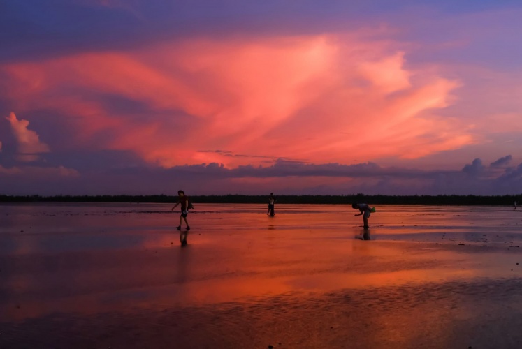 BÌNH MINH TRÊN BIỂN