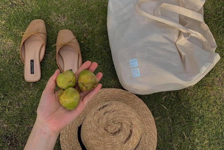 10 điều must-try khi du hí biển Hải Tiến Thanh Hóa nạp Vitamin Sea 