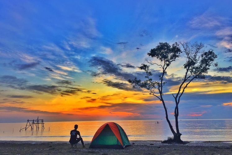 Không phải Đà Lạt mà Tiền Giang cũng có cây cô đơn… giữa biển