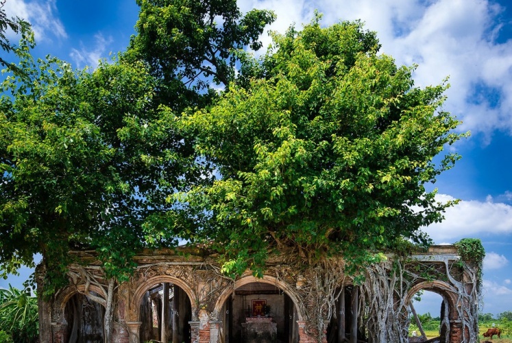 Ngôi đình Tân Đông (Tiền Giang) hơn 100 năm tuổi nằm dưới rễ cây bồ đề 