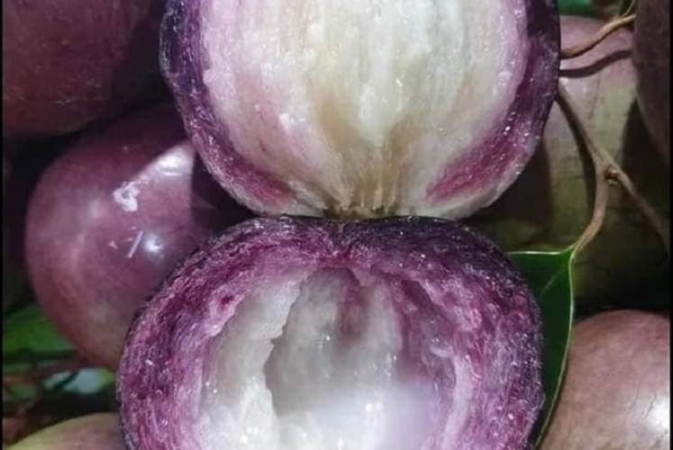 Vi vu Tiền Giang mua gì về làm quà nhỉ