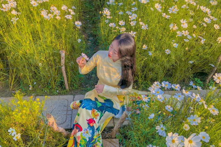 Vườn hoa Mãn Đình Hồng - Phước Thạnh - Châu Thành - Tiền Giang