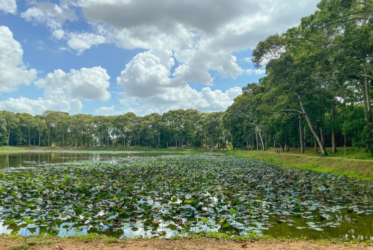 Tìm về thiên nhiên với Ao Bà Om xanh mát (Trà Vinh)