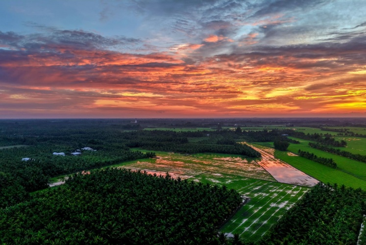 Nghe nói Trà Vinh là địa phương có chất lượng không khí sạch nhất Đông Nam Á.