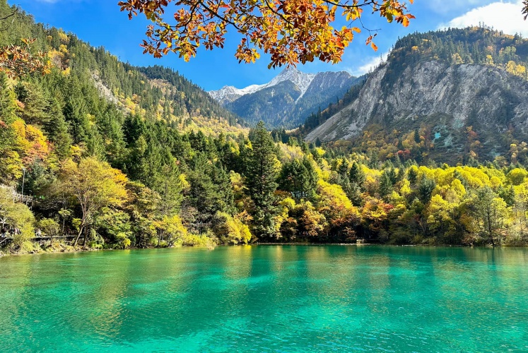 Cửu Trại Câu ....