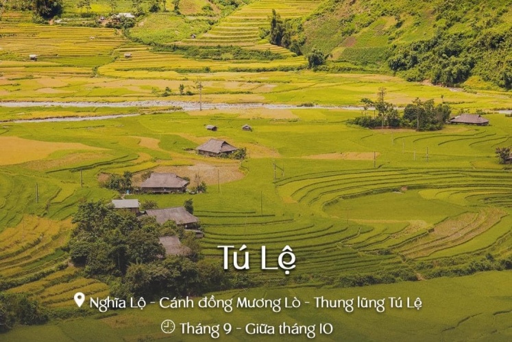 13 Địa Điểm Ngắm Mùa Lúa Chín Đẹp Nhất Miền Bắc 