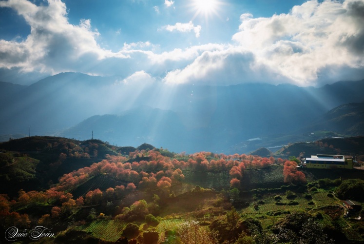 Một chút không khí đầu xuân ....