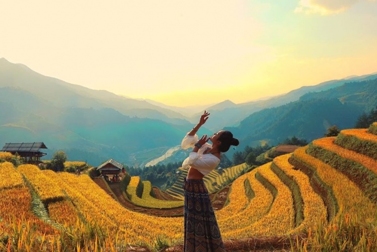 UPDATE - Các Điểm Check-in Đẹp Nhất Vào Mùa Lúa Chín Vàng 