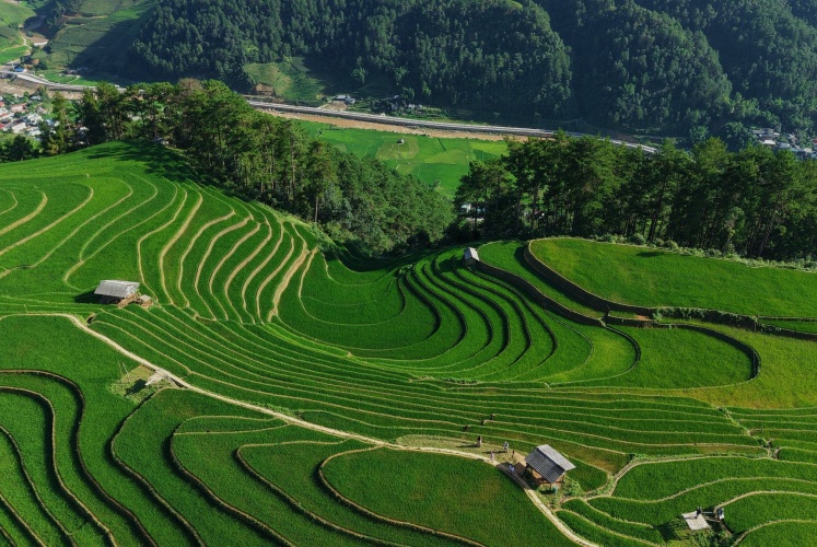 Mù Cang Chải 28/7/2025 