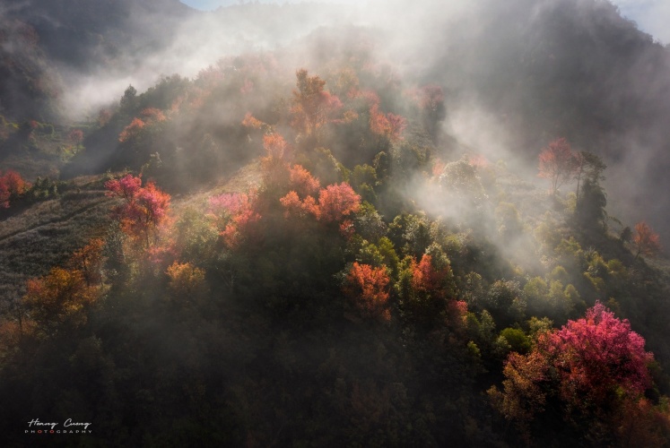 Nắng chớm đầu đông với mùa hoa Tớ Dày trên bản làng La Pán Tẩn.