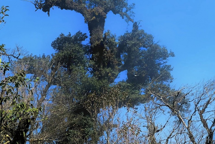 Mù Cang Chải (Yên Bái) những ngày lạnh nhất
