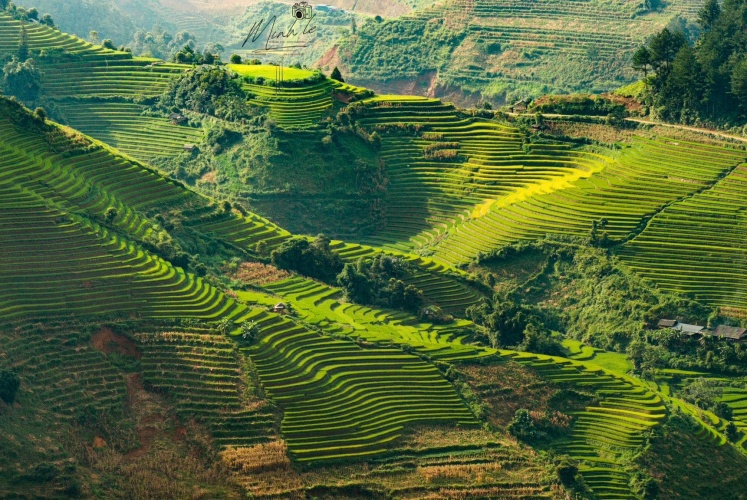 Mù Cang Chải mùa đẹp nhất trong năm