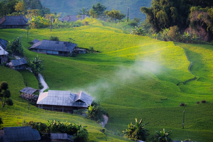 Ngắm lúa ở Mù Cang Chải