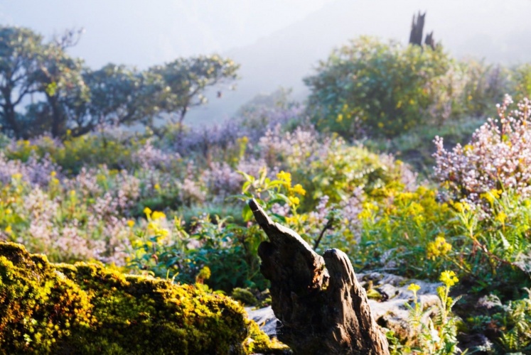 Tà Chì Nhù - Yên Bái mùa này