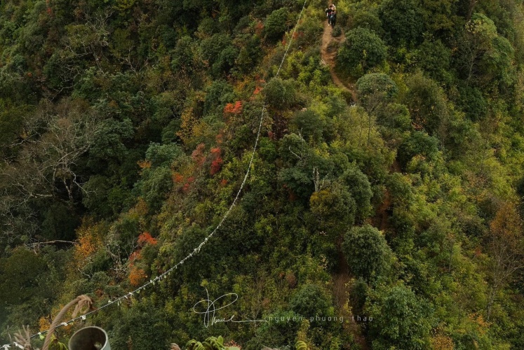 Tà Xùa mùa thay lá