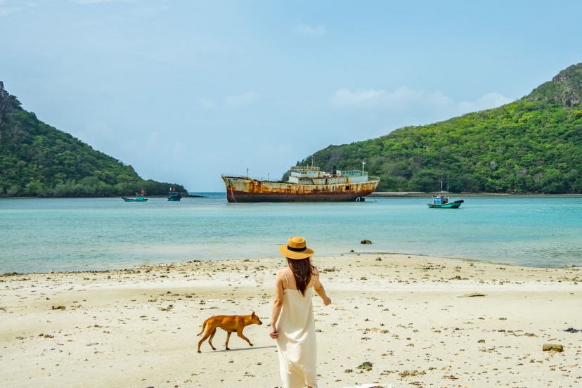 VI VU CÔN ĐẢO MÙA HÈ NÀY VI VU CÔN ĐẢO MÙA HÈ NÀY