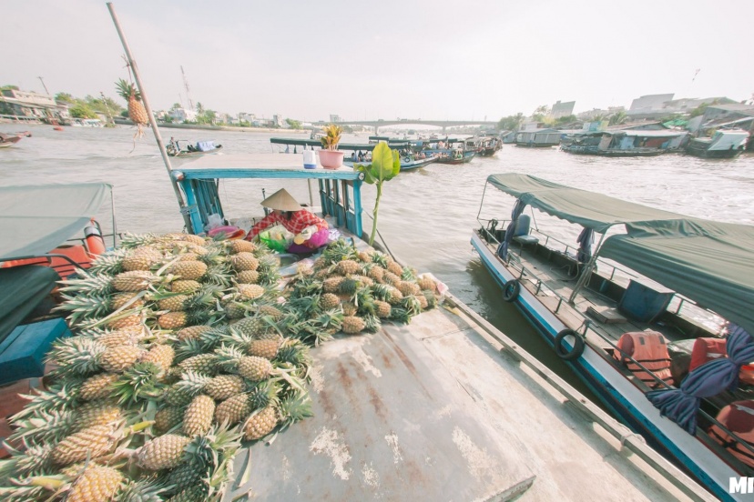 Vi Vu Chợ Nổi Cái Răng Nổi Tiếng Nhất Cần Thơ Vi Vu Chợ Nổi Cái Răng Nổi Tiếng Nhất Cần Thơ