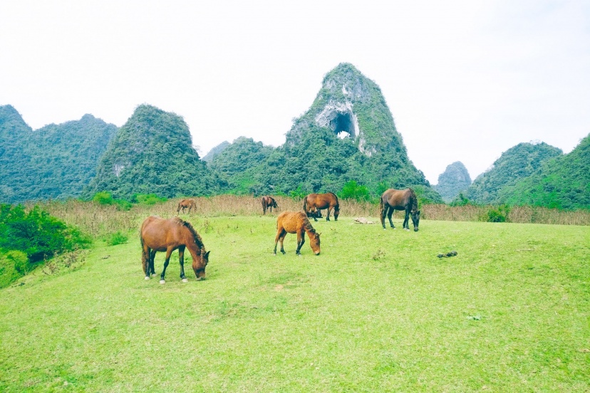 Review Cao Bằng 3 Ngày 2 Đêm Review Cao Bằng 3 Ngày 2 Đêm