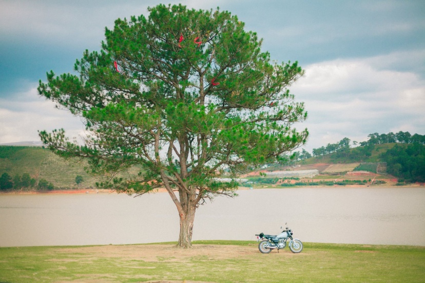 Review Vi Vu Thành Phố Ngàn Hoa Đà Lạt Mộng Mơ 3N2Đ Tiết Kiệm Review Vi Vu Thành Phố Ngàn Hoa Đà Lạt Mộng Mơ 3N2Đ Tiết Kiệm