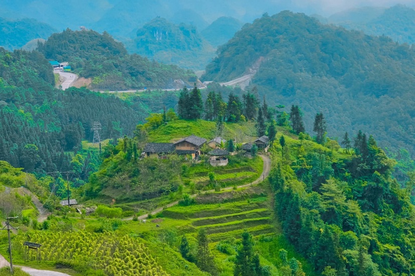 Lịch Trình Hà Giang 3N2Đ Đi Ngắm Hoa Tam Giác Mạch Cuối Năm Lịch Trình Hà Giang 3N2Đ Đi Ngắm Hoa Tam Giác Mạch Cuối Năm