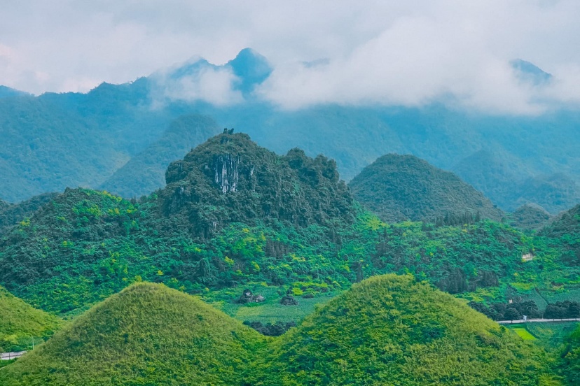 Lịch Trình Hà Giang 3N2D Ngắm Hoa Tam Giác Mạch Cuối Năm Lịch Trình Hà Giang 3N2D Ngắm Hoa Tam Giác Mạch Cuối Năm
