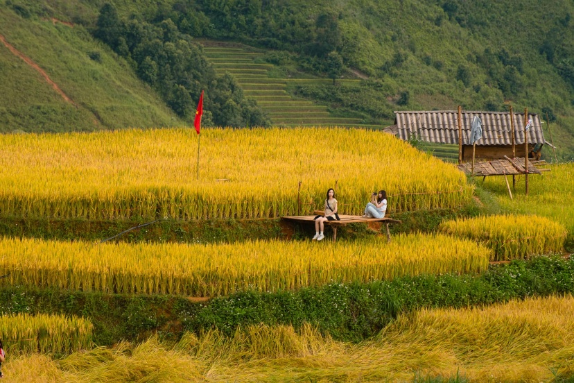 Lịch Trình Tour Hà Giang 3 Ngày 2 Đêm Có Những Gì? Lịch Trình Tour Hà Giang 3 Ngày 2 Đêm Có Những Gì?