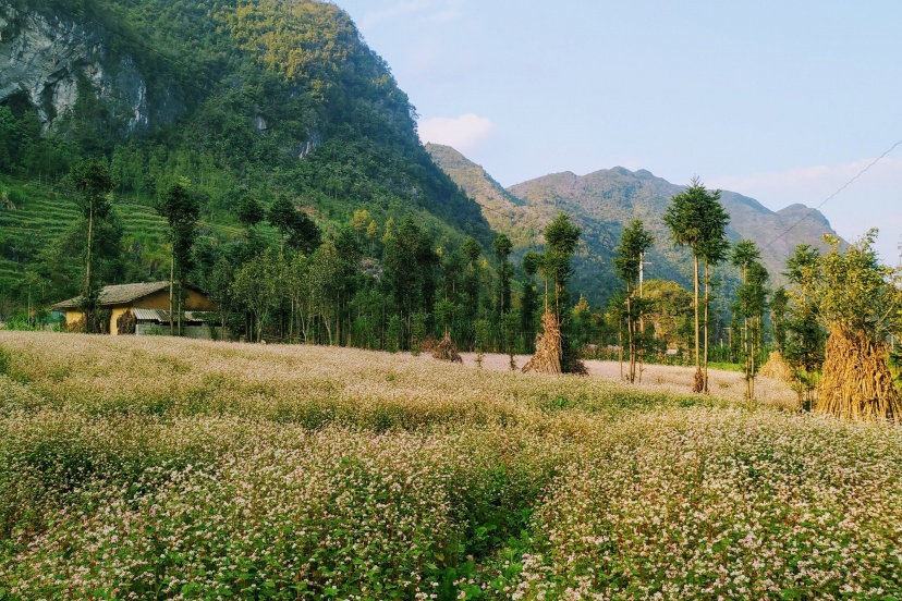 Review Vi Vu Hà Giang 5 Ngày 4 Đêm Cực Có Tâm Review Vi Vu Hà Giang 5 Ngày 4 Đêm Cực Có Tâm