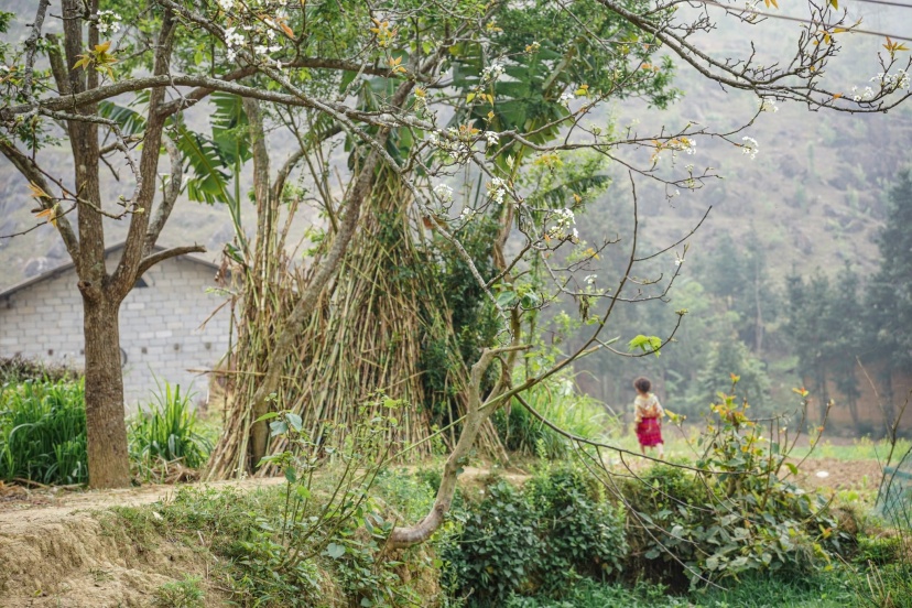 Du Lịch Hà Giang - Đường Lên Cực Bắc Du Lịch Hà Giang - Đường Lên Cực Bắc