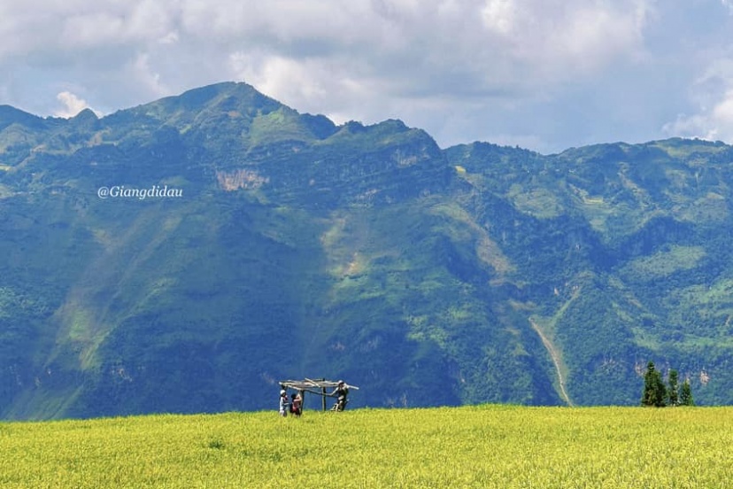 Khám Phá Thảo Nguyên Đẹp Như Tranh Vẽ Ở Miền Tây Hà Giang Khám Phá Thảo Nguyên Đẹp Như Tranh Vẽ Ở Miền Tây Hà Giang