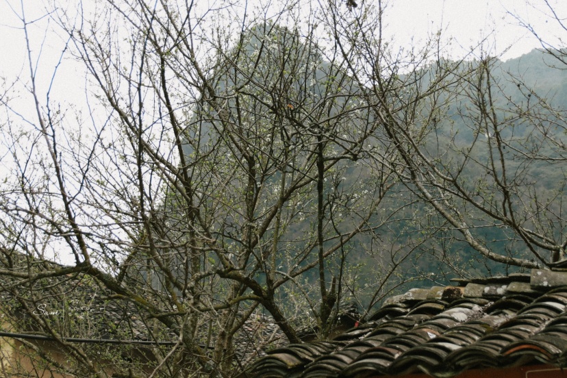 Lang Thang Hà Giang Một Mình Của Kẻ Mộng Mơ Lang Thang Hà Giang Một Mình Của Kẻ Mộng Mơ