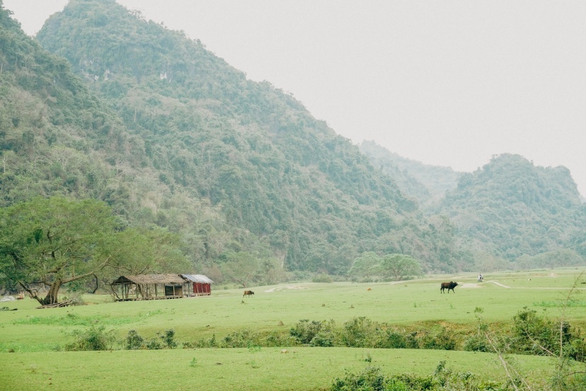 Cùng Chill Tại Đồng Cỏ Xanh Hữu Liên (Lạng Sơn) Lạc Vào Thiên Nhiên Cùng Chill Tại Đồng Cỏ Xanh Hữu Liên (Lạng Sơn) Lạc Vào Thiên Nhiên
