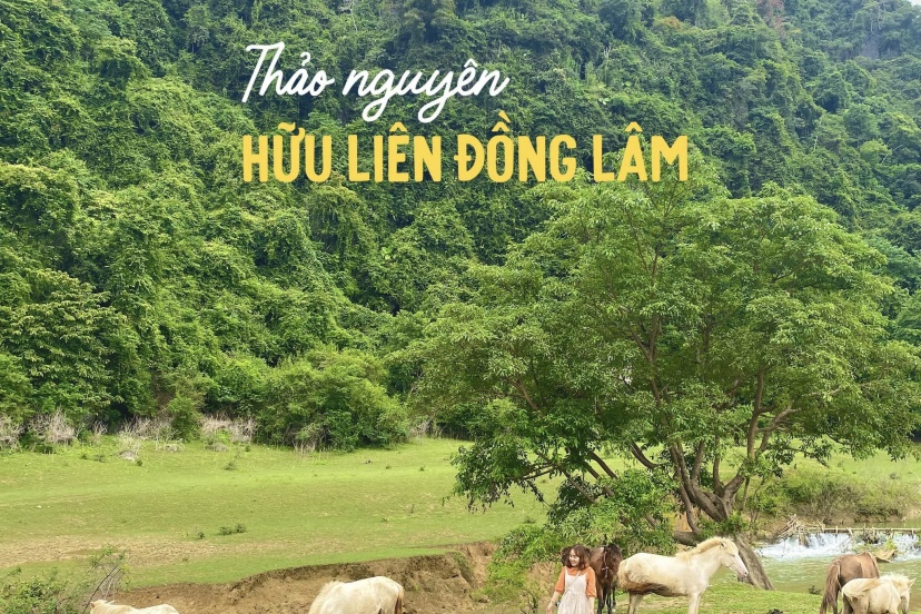 Thảo Nguyên Hữu Liên Đồng Lâm | Tuyệt Cảnh Giữa Lòng Lạng Sơn Thảo Nguyên Hữu Liên Đồng Lâm | Tuyệt Cảnh Giữa Lòng Lạng Sơn