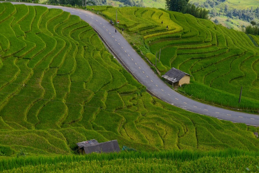 Rủ Ngay Hội Bạn Vi Vu Y Tý 2 Ngày 1 Đêm Rủ Ngay Hội Bạn Vi Vu Y Tý 2 Ngày 1 Đêm