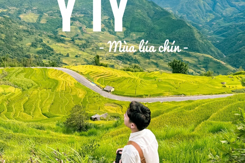 Về Y Tý Ngắm “Mùa Vàng” Trên Những Thửa Ruộng Bậc Thang Về Y Tý Ngắm “Mùa Vàng” Trên Những Thửa Ruộng Bậc Thang