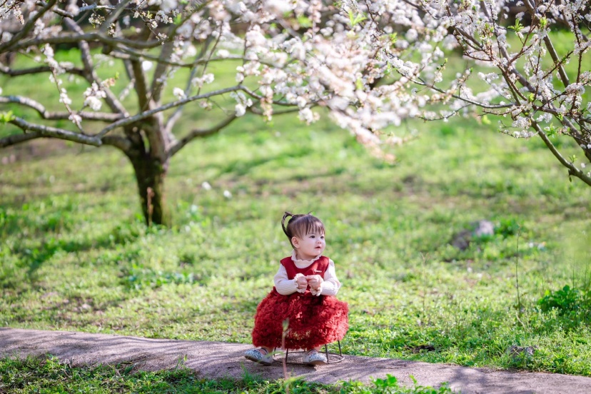 Review Du Lịch Mộc Châu 4N3Đ Cho Gia Đình Có Trẻ Nhỏ