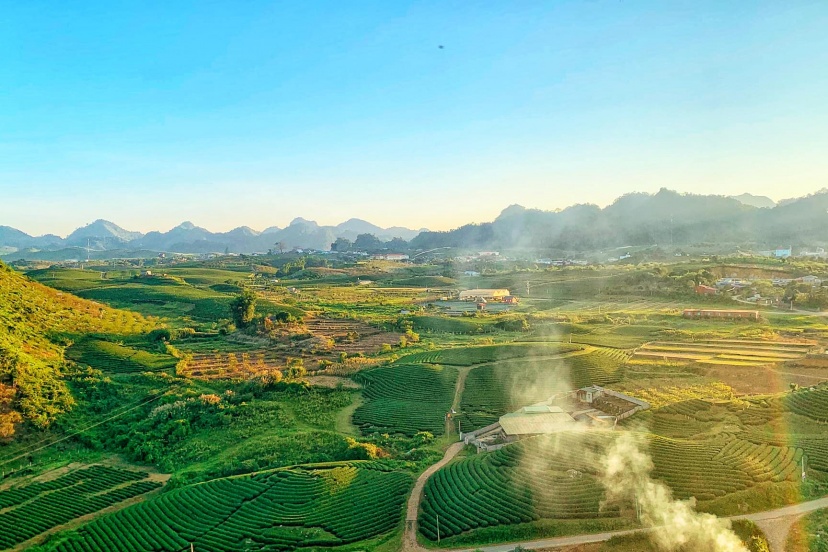 Những Địa Điểm Mới Ở Mộc Châu Tháng 11 Những Địa Điểm Mới Ở Mộc Châu Tháng 11
