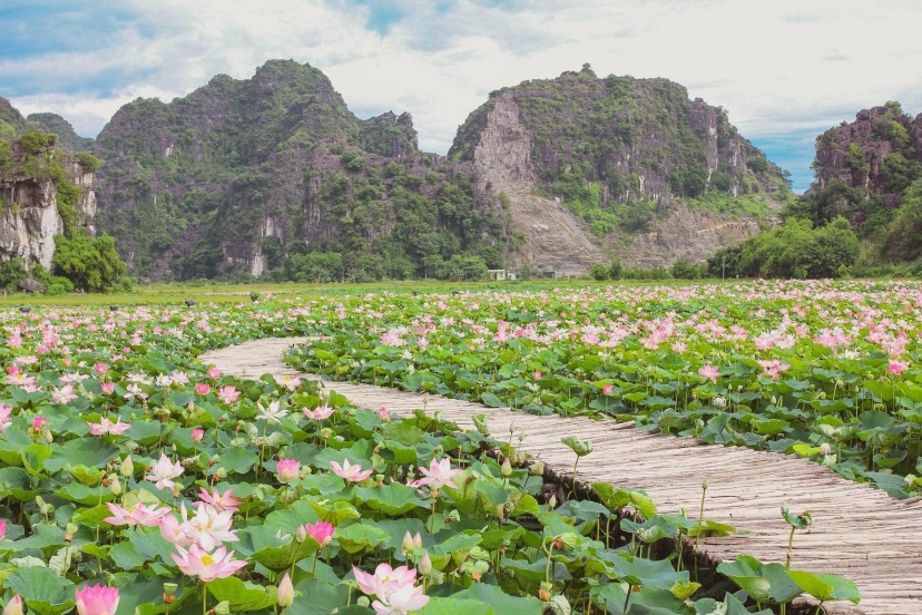 Bài Review Nhanh Du Lịch Ninh Bình Cố Đô Bài Review Nhanh Du Lịch Ninh Bình Cố Đô