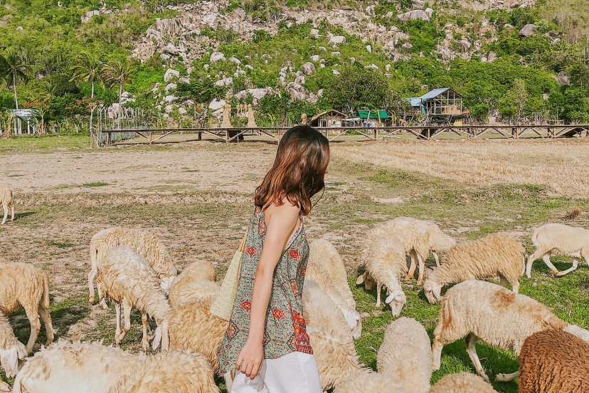 Review Đảo Bình Hưng - Ninh Thuận - Bình Lập 4 Ngày 3 Đêm Review Đảo Bình Hưng - Ninh Thuận - Bình Lập 4 Ngày 3 Đêm