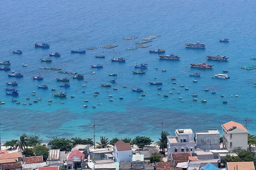 Quy Nhơn - Phú Yên & Những Địa Điểm Không Thể Bỏ Lỡ Quy Nhơn - Phú Yên & Những Địa Điểm Không Thể Bỏ Lỡ