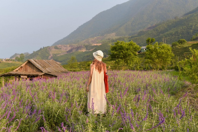 3 Ngày 2 Đêm Khám Phá Một Sapa Chill Như Thế 3 Ngày 2 Đêm Khám Phá Một Sapa Chill Như Thế