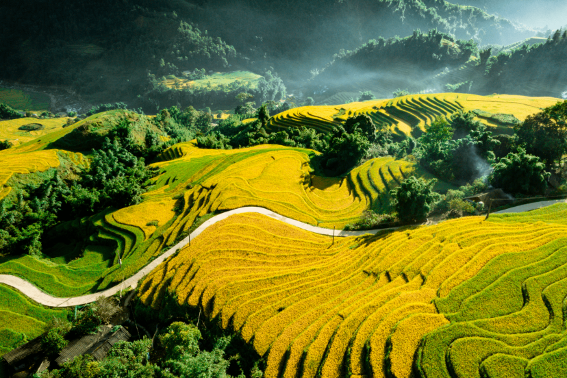 Kinh Nghiệm Du Lịch Sapa 3N2Đ Leo Fansipan Vào Mùa Đẹp Nhất Năm Kinh Nghiệm Du Lịch Sapa 3N2Đ Leo Fansipan Vào Mùa Đẹp Nhất Năm