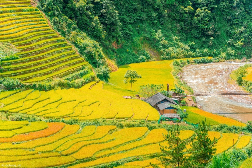 Review Chuyến Du Hí Mù Cang Chải - Sapa - Y Tý 5N4Đ Tiết Kiệm Review Chuyến Du Hí Mù Cang Chải - Sapa - Y Tý 5N4Đ Tiết Kiệm