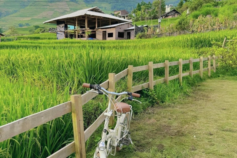 Chuyến Đi Sapa Chữa Lành Tâm Hồn Chuyến Đi Sapa Chữa Lành Tâm Hồn