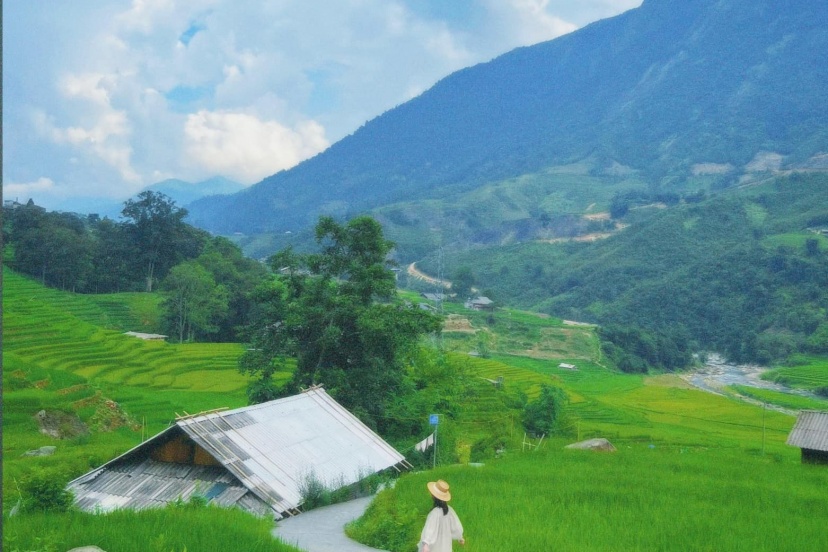 Review Chuyến Đi Săn Lúa Nậm Cang (Sapa) Review Chuyến Đi Săn Lúa Nậm Cang (Sapa)