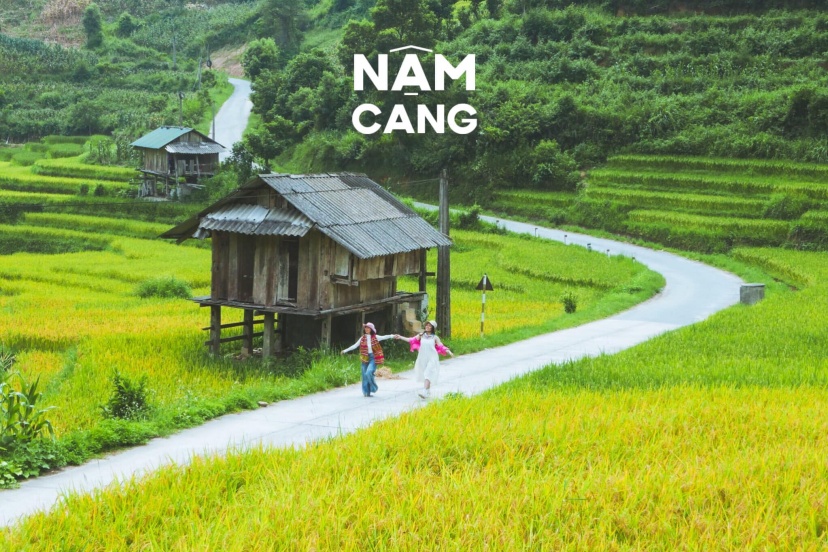 Rủ Hội Bạn Thân Đi Ngắm Lúa Nhuộm Vàng Nậm Cang Rủ Hội Bạn Thân Đi Ngắm Lúa Nhuộm Vàng Nậm Cang