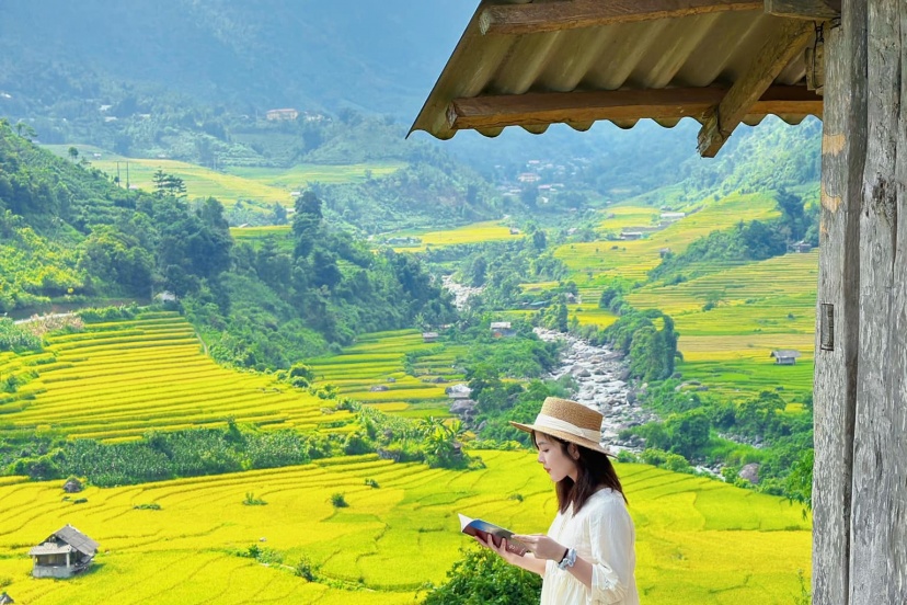 Review Chuyến Đi Săn Lúa Nậm Cang (Sa Pa) Review Chuyến Đi Săn Lúa Nậm Cang (Sa Pa)