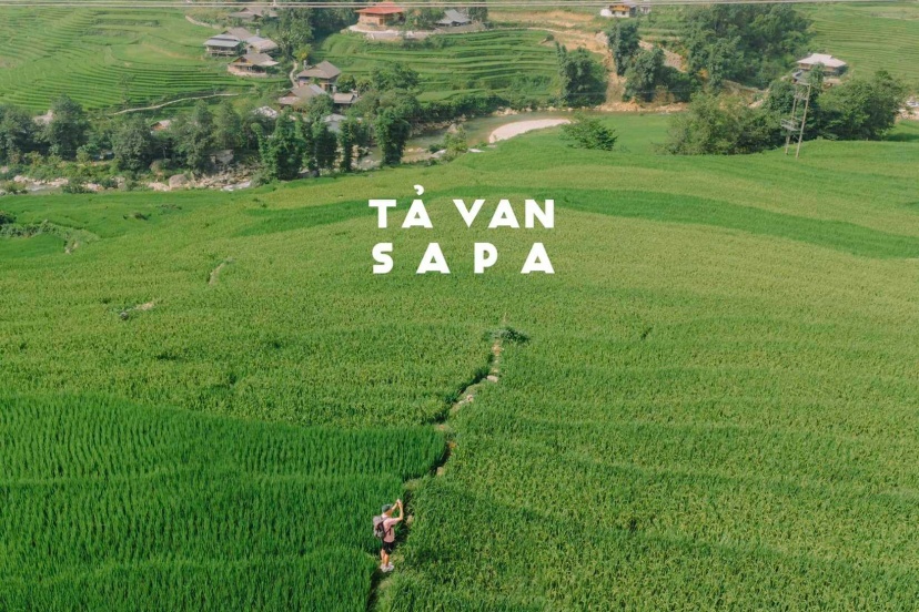 Review Du Lịch Tả Van Mùa Lúa Chín Review Du Lịch Tả Van Mùa Lúa Chín