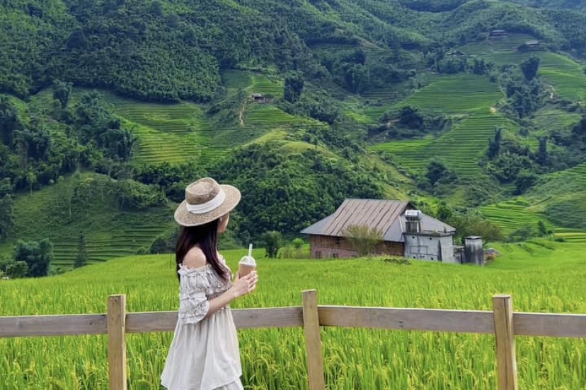 Review Chuyến Đi Săn Lúa Nậm Cang Tả Van (Sapa) Review Chuyến Đi Săn Lúa Nậm Cang Tả Van (Sapa)