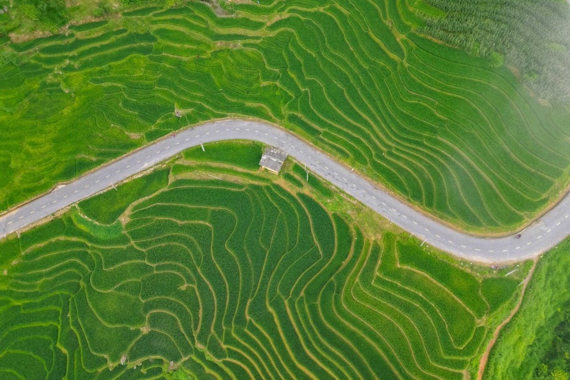 Tháng 8 Này Nhất Định Phải Tới Sapa Nhé Tháng 8 Này Nhất Định Phải Tới Sapa Nhé